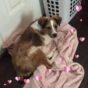 Meet your Posher, Janie